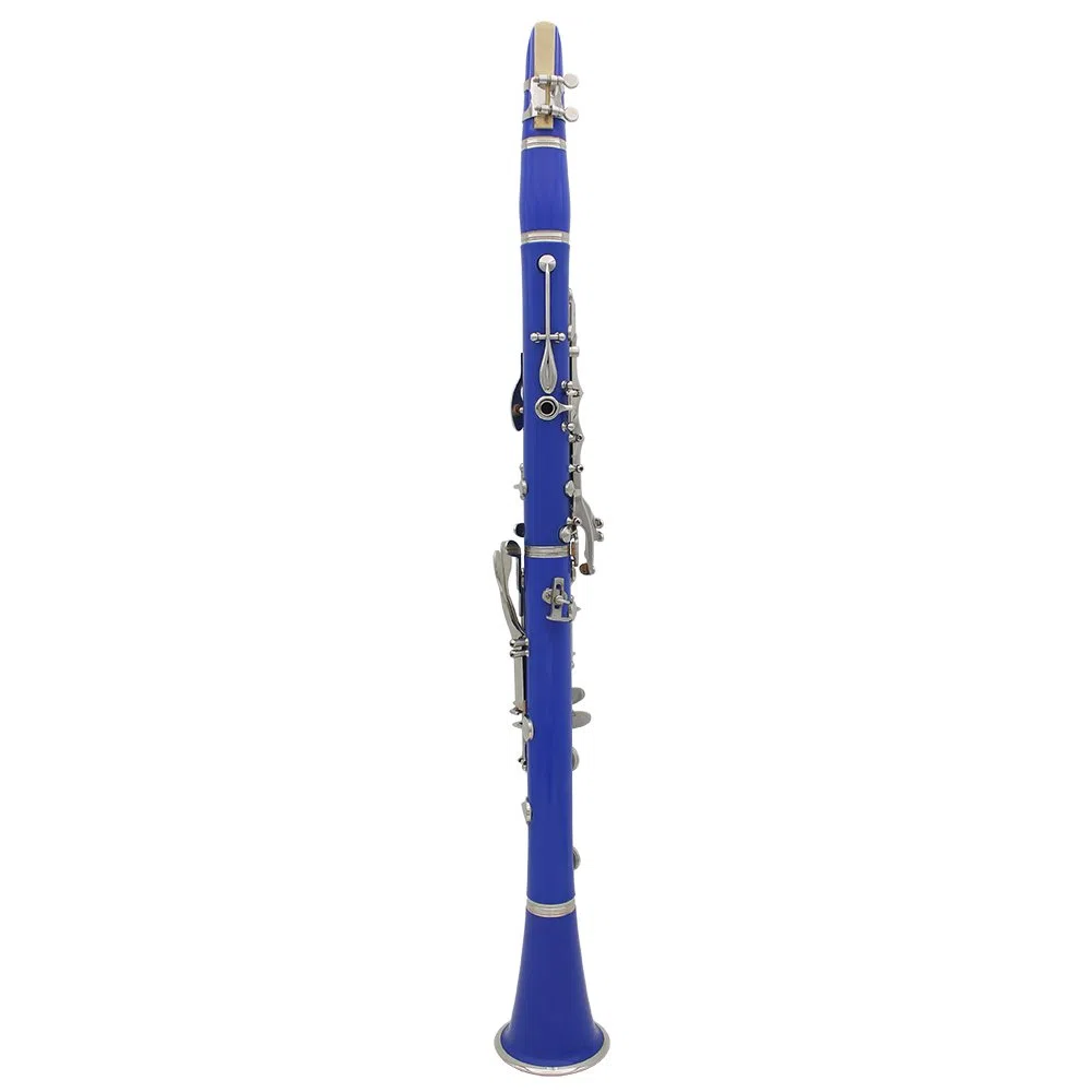 Btuty Clarinete ABS de 17 toneladas bB clarinete soprano plano con guantes de limpieza, 10 hojas, destornillador, maletín de hojas, instrumento de viento de madera